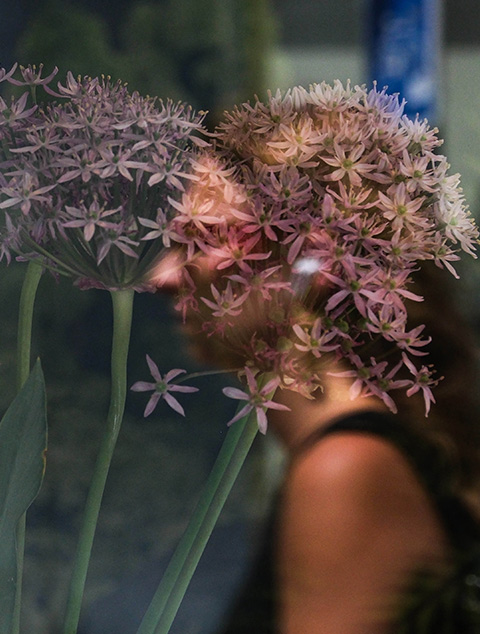 Exposition « Elles par Elles »- première exposition du collectif, Les Camélias à Nice, Octobre-Décembre 2024