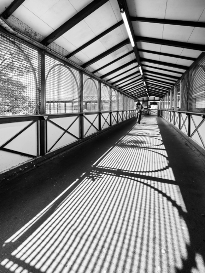 Lignes de Ville, Lignes de Vie