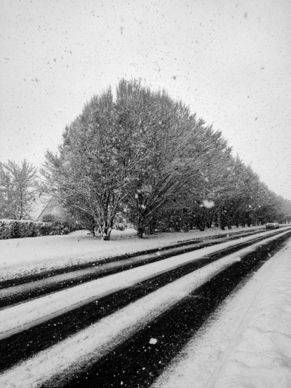 Lignes de Ville, Lignes de Vie