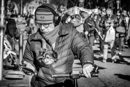 Errance à quatre pattes