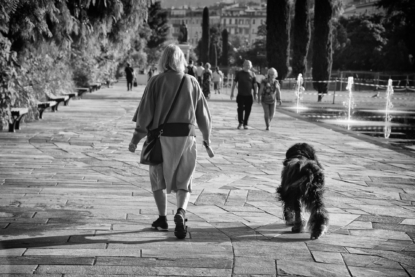 Errance à quatre pattes