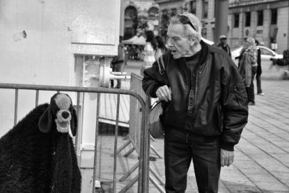 Errance à quatre pattes