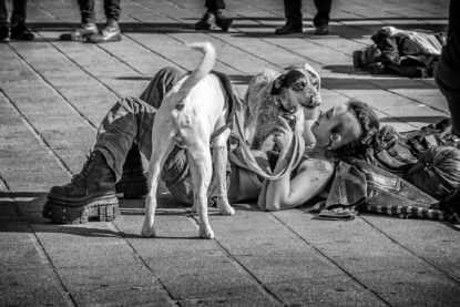 Errance à quatre pattes