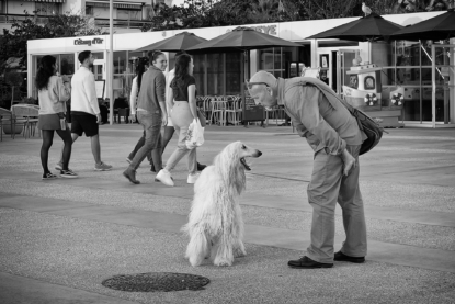 Errance à quatre pattes