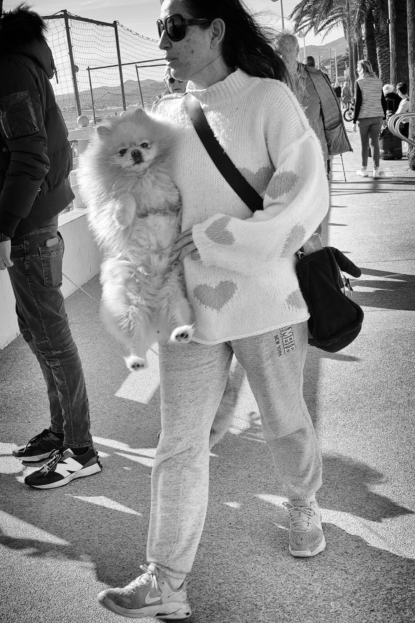 Errance à quatre pattes