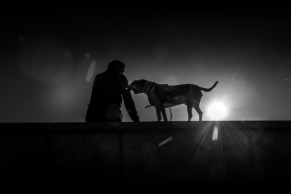 Errance à quatre pattes