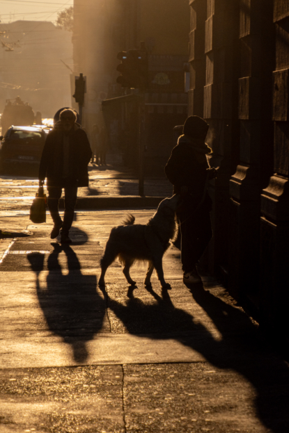Une lumière dans le noir