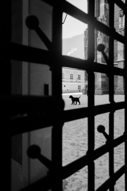 Viziunea mea asupra României (Mon regard sur la Roumanie)
