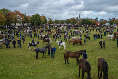 Les foires aux chevaux Gypsy