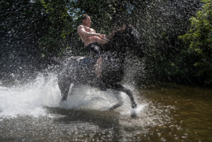 Les foires aux chevaux Gypsy