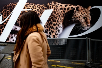 Animale cité