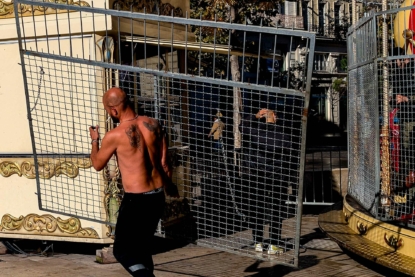 Animale cité
