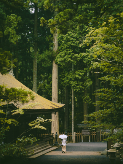 Couleurs du Japon
