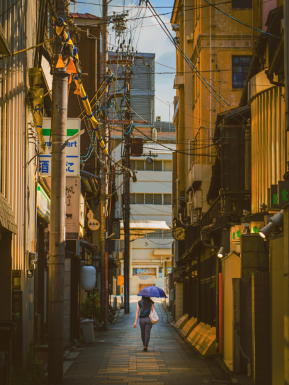 Couleurs du Japon