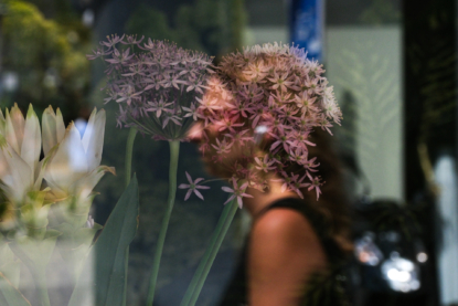 Dreaming women