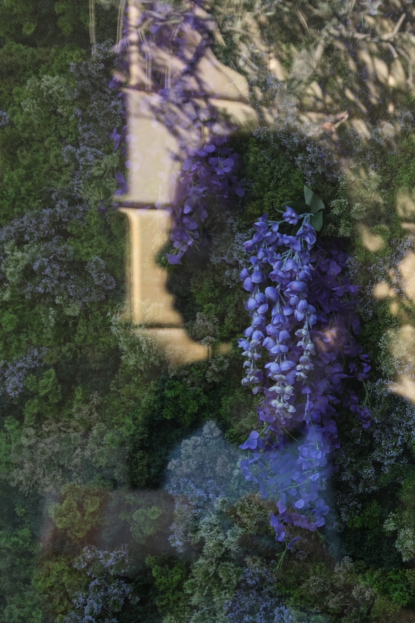 Dreaming women