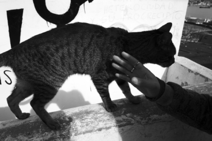 At the top of the Barón funicular, a stray cat greets us. On its hind leg, a worm. In the corner, at the top, an opening onto the port and the Pacific. The promise of a wandering life, free but on the edge, between land and sea.